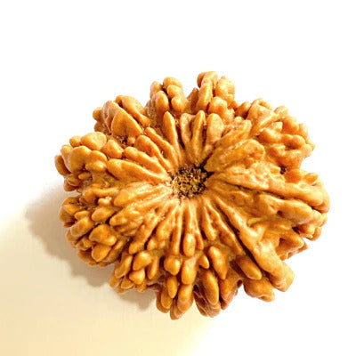 आध्यात्मिक शक्ति और लाभ के लिए (Spiritual benefits of 11 Mukhi Rudraksha)
