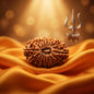 18 Mukhi Rudraksha (Nepal Origin)