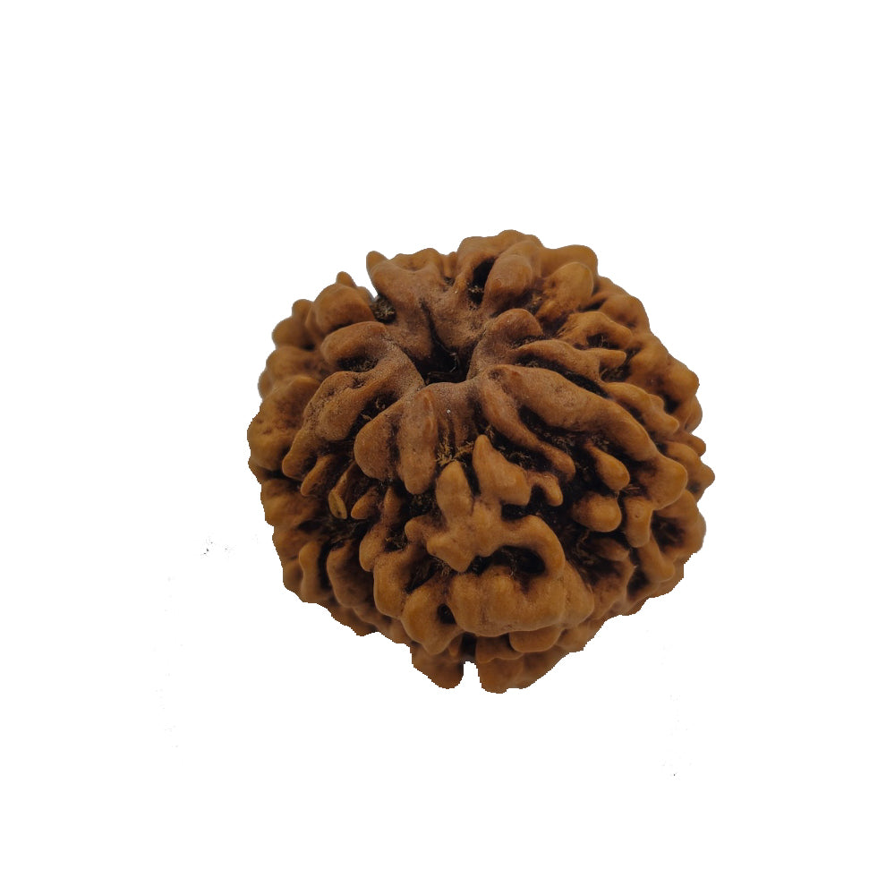 आध्यात्मिक शक्ति और लाभ के लिए (Spiritual benefits of 1 Mukhi Rudraksha)