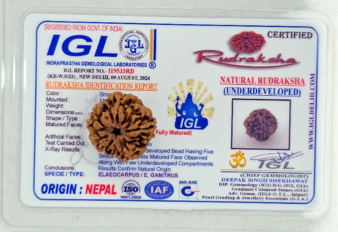 आध्यात्मिक शक्ति और लाभ के लिए (Spiritual benefits of 1 Mukhi Rudraksha)