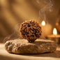 1 Mukhi Rudraksha(Nepal Origin) with X-Ray Report
