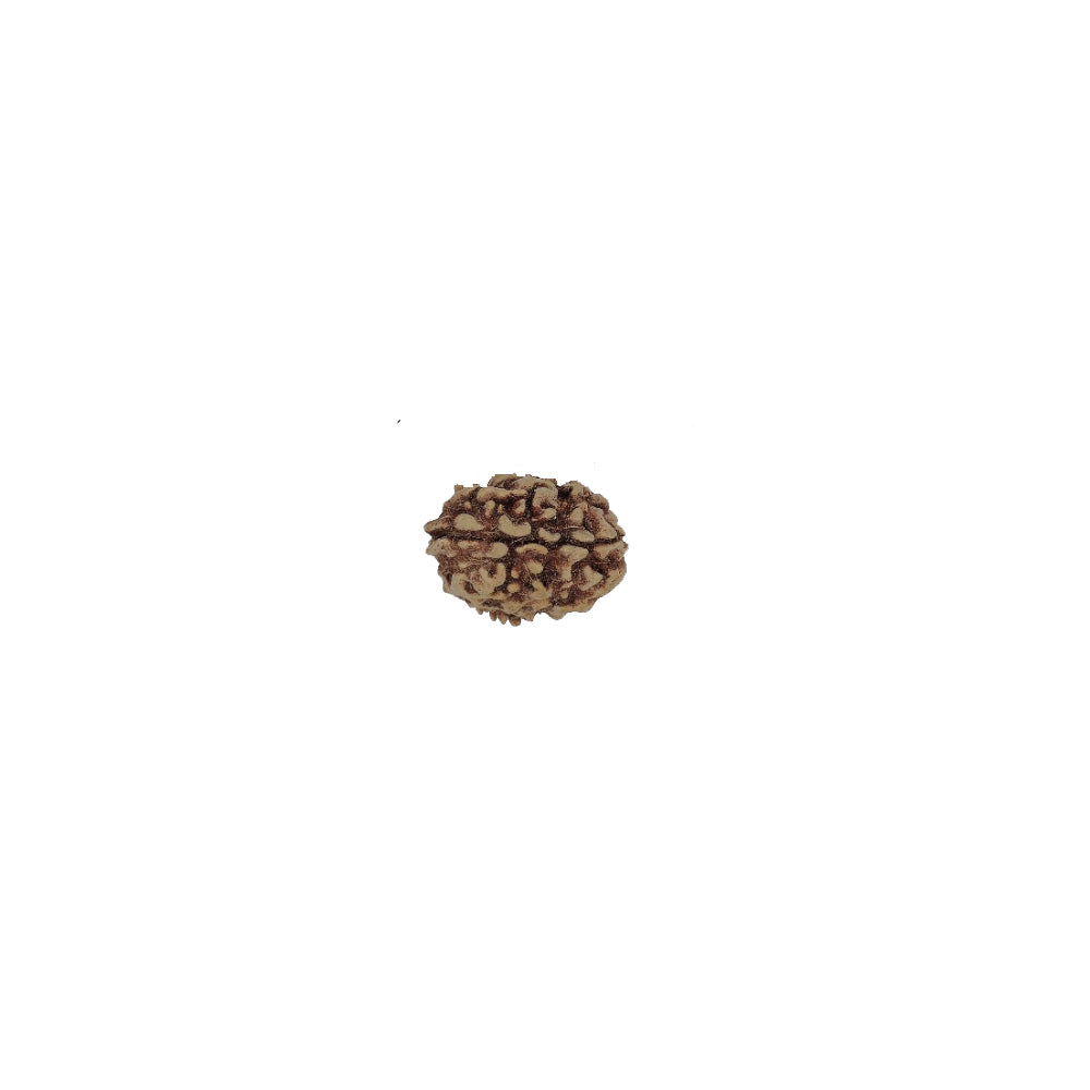 आध्यात्मिक शक्ति और लाभ के लिए (Spiritual benefits of 3 Mukhi Rudraksha)