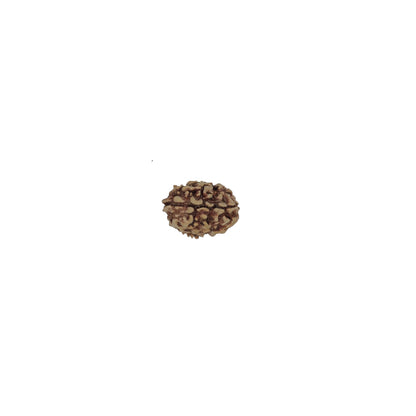 आध्यात्मिक शक्ति और लाभ के लिए (Spiritual benefits of 3 Mukhi Rudraksha)