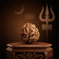 3 Mukhi Rudraksha (Nepal Origin)