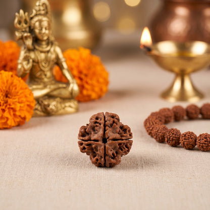 4 Mukhi Rudraksha (Nepal Origin)