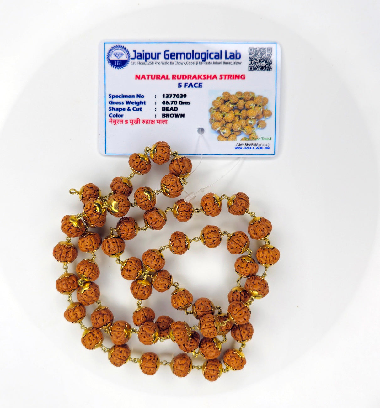 5 Mukhi Rudraksha Mala in Designer Cap