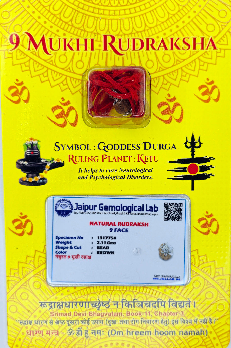 Ramaya Tatva 9 Mukhi Rudraksha Silver Pendant – Certified Nine Faced Sacred Bead Jewellery
