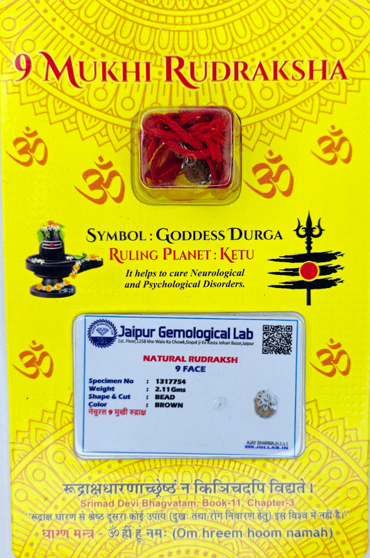आध्यात्मिक शक्ति और लाभ के लिए (Spiritual benefits of 9 Mukhi Rudraksha)