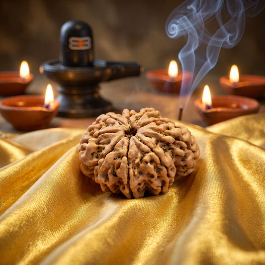 9 Mukhi “Ganesha” Rudraksha (Nepal Origin)