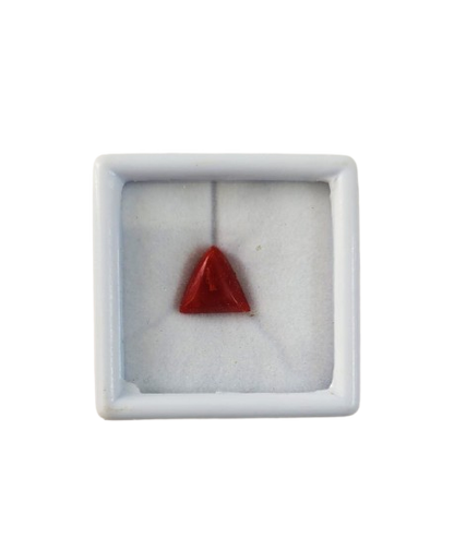 Red Coral Moonga Close-Up – 4.95 Carat Natural Red Coral Deep Red Colour with Certificate | Ramaya Tatva
