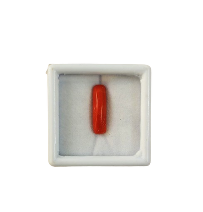 Natural Red Coral (Moonga) gemstone – certified Mars stone for astrology

Premium Italian Red Coral gemstone deep red color for Mangal

Certified Natural Moonga stone for courage and protection