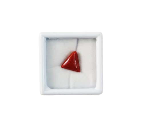Close up natural red coral capsule cut gemstone untreated

Deep red moonga stone smooth surface high quality finish

Natural mars gemstone red coral detailed texture view