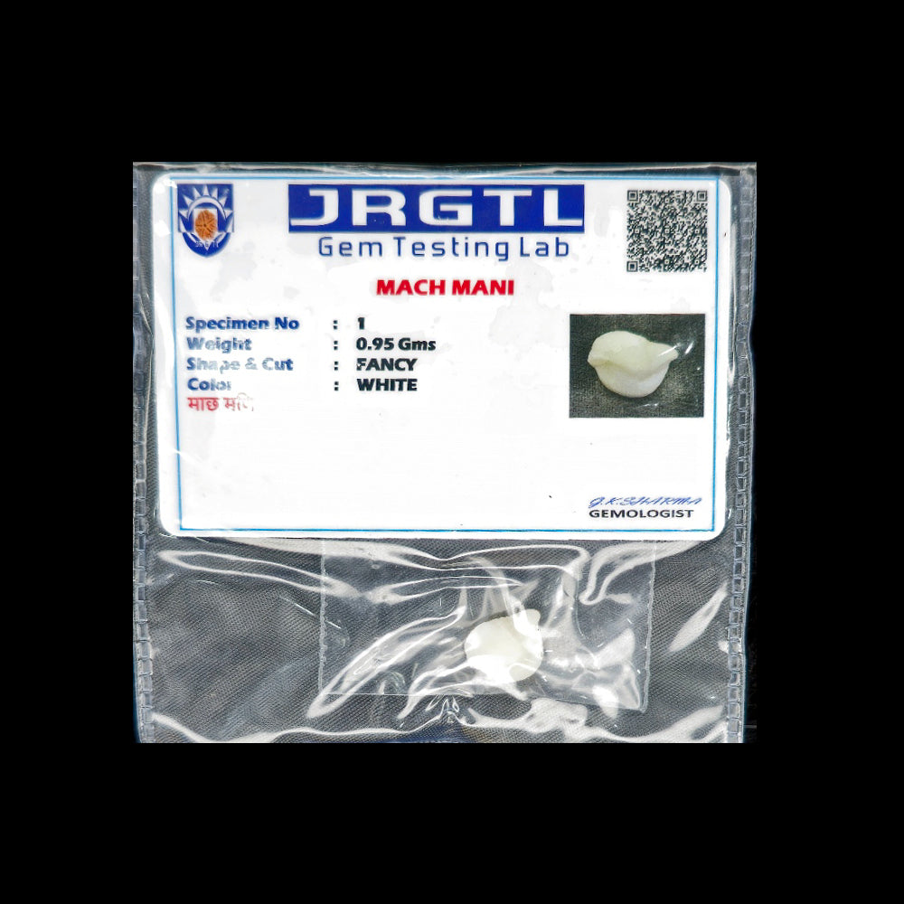 Machh Mani Fish Pearl Close Up – Ramaya Tatva