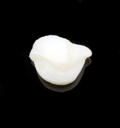 Natural Fish Pearl Gemstone Full View – Ramaya Tatva