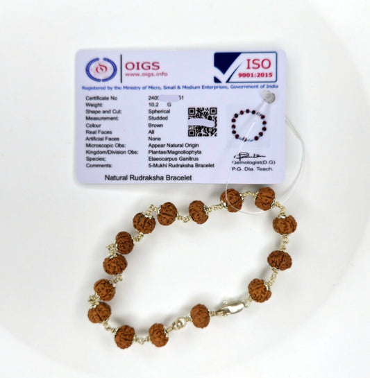 5 Mukhi Rudraksha Silver bracelet