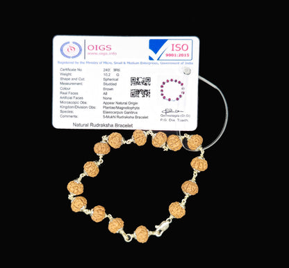 5 Mukhi Rudraksha Silver Bracelet Close Up – Ramaya Tatva