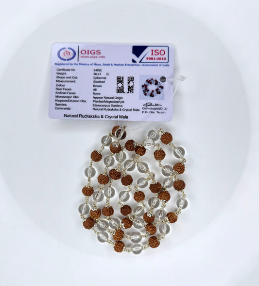 Rudraksha Sphatik Mala (54+1 Beads)