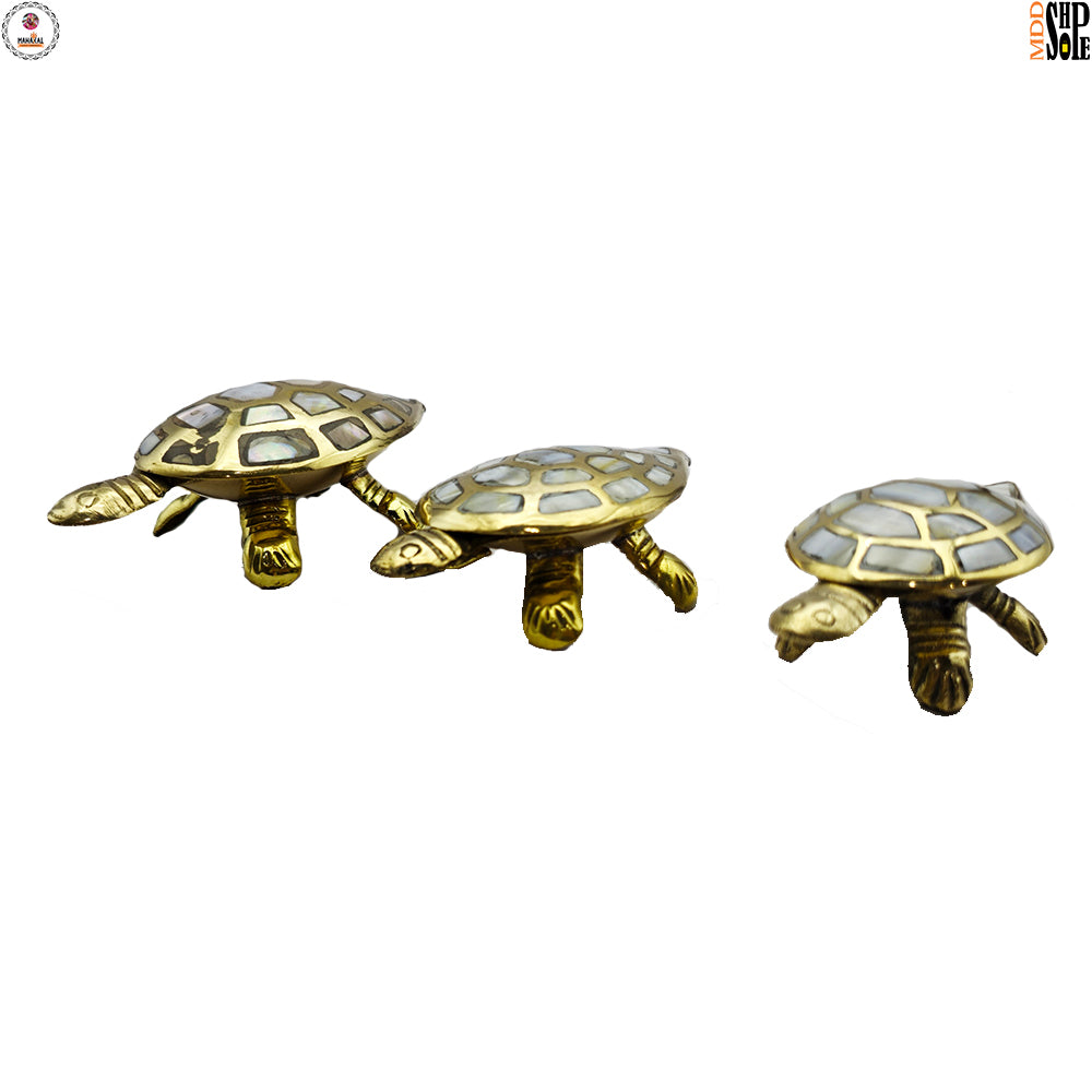 Wish Fulfilling Brass Tortoise with Secret Wish Compartment Set of 3 – Ramaya Tatva
