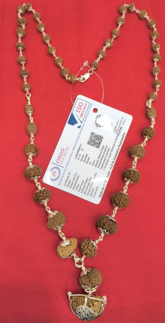 1 Mukhi to 14 Mukhi Rudraksha Siddha mala (Indonesia Beads) Silver cap