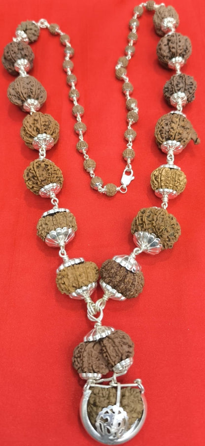 14 Mukhi Rudraksha Siddha Mala Nepal Beads – Close Up of Silver Cap & Mukhi Bead Detail
