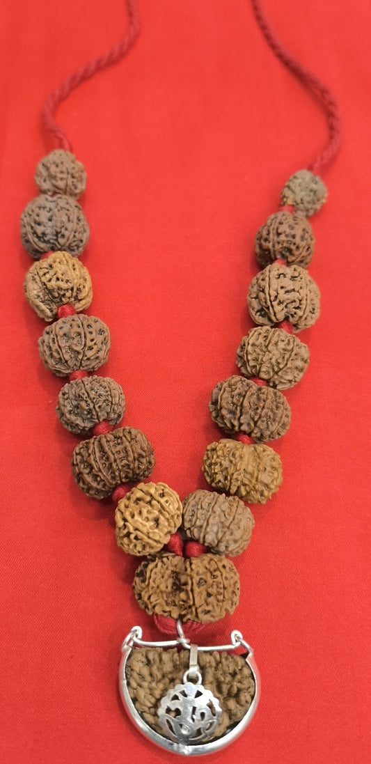 1 Mukhi to 14 Mukhi Rudraksha Siddha mala (Nepal Beads)